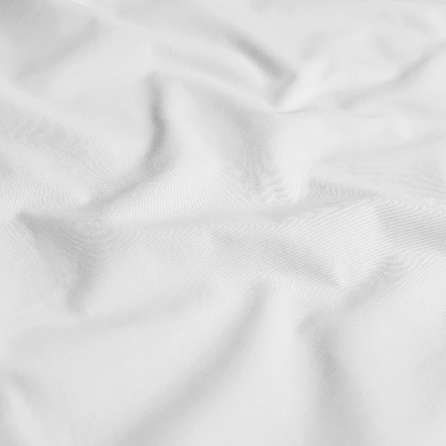 Sheet TAYLOR - Image 2